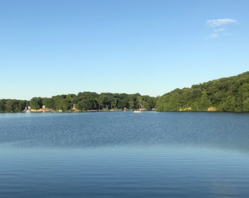 A calm lake surrounded by lush green trees under a clear blue sky.
