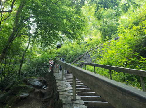 A wooden railing leads up a stone staircase surrounded by lush greenery and trees, with people ascending.