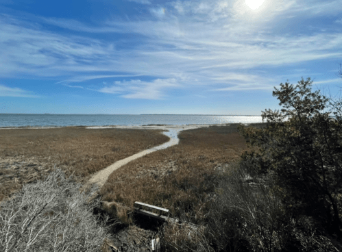 A serene coastal scene with a winding path through tall grass, leading to the water under a bright blue sky.