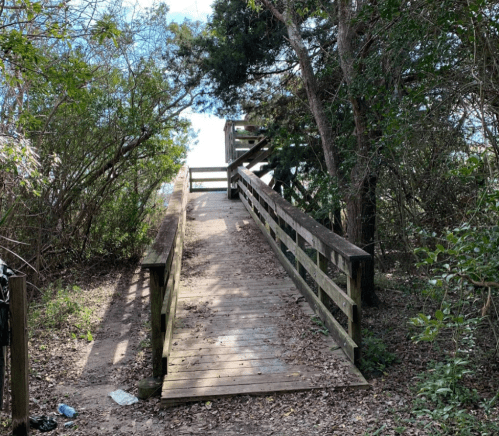 A wooden walkway leads through greenery, ascending towards a viewpoint or platform in a natural setting.