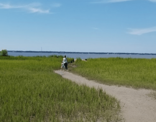 A person walks along a sandy path through tall green grass, with a calm body of water in the background under a blue sky.