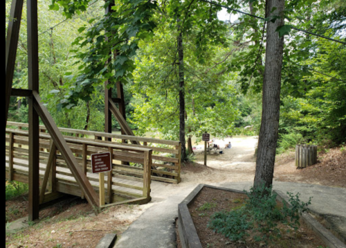A wooden bridge leads to a path surrounded by trees, with a glimpse of a clearing in the background.