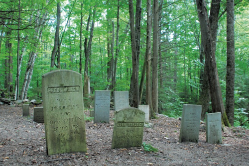 A serene forest scene featuring several old gravestones among trees, creating a peaceful, reflective atmosphere.