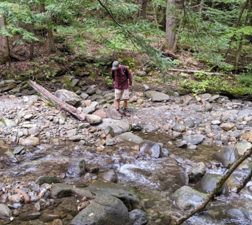 A person stands by a rocky stream in a forest, surrounded by trees and greenery.
