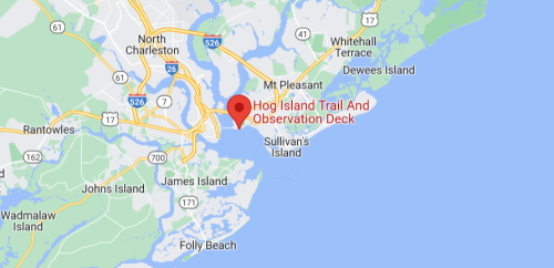Map showing the location of Hog Island Trail and Observation Deck near Charleston, South Carolina.