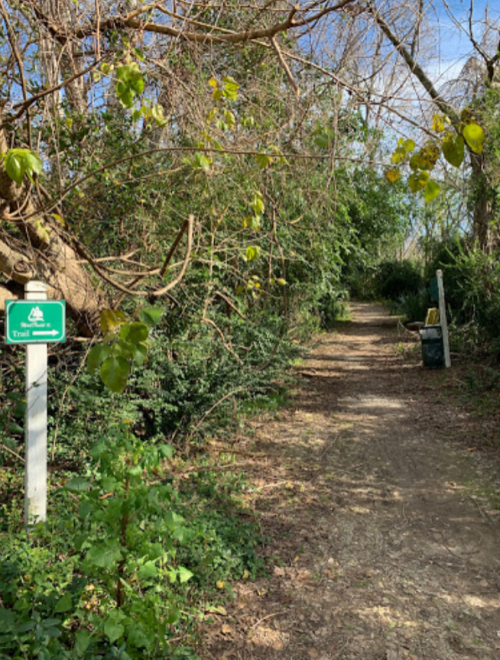 A dirt trail surrounded by greenery, with a trail sign and a trash bin visible along the path.
