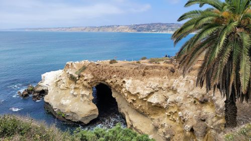 A coastal view featuring a rocky arch, palm tree, and blue ocean under a clear sky.