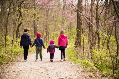 Four children walk hand in hand along a forest path, surrounded by trees and blooming pink flowers.