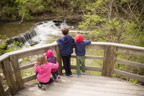 Four children stand on a wooden overlook, gazing at a waterfall surrounded by lush greenery.