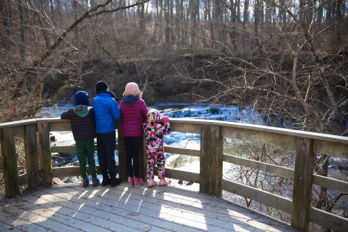 Four children stand on a wooden overlook, gazing at a frozen waterfall surrounded by trees in winter.