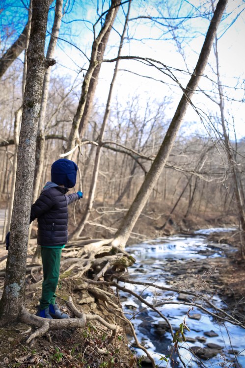 A child in a blue jacket stands by a creek, pointing towards the water, surrounded by bare trees in a serene landscape.