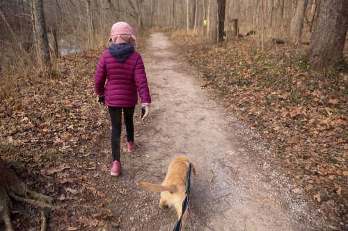 A child in a pink jacket walks a dog along a wooded trail covered in leaves.