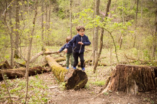 Two children play in a forest, one jumping on a log while the other follows behind, surrounded by greenery.