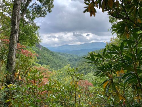 A scenic view of lush green mountains under a cloudy sky, framed by vibrant foliage in the foreground.