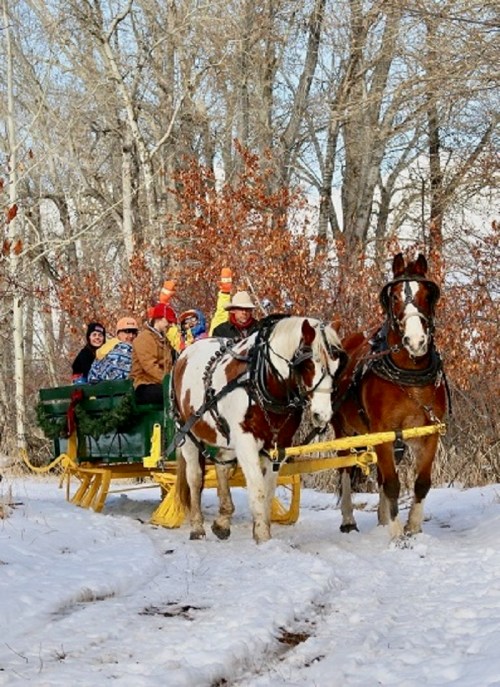 A horse-drawn sleigh carries passengers through a snowy landscape with trees in the background.