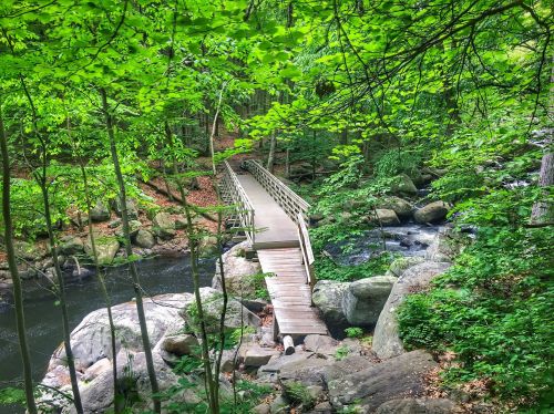 A wooden bridge spans a serene stream, surrounded by lush green trees and rocky terrain in a peaceful forest setting.