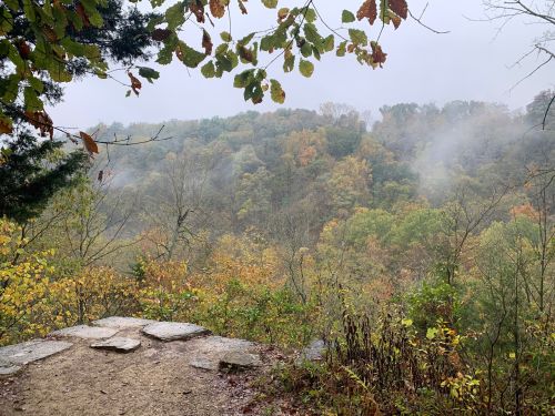 A misty landscape view from a rocky overlook, showcasing colorful autumn foliage in a forested valley.