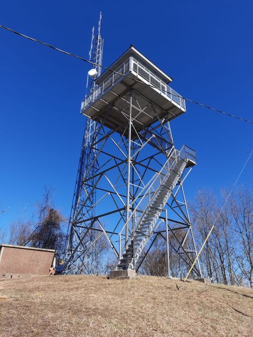 A tall metal observation tower with a staircase, set against a clear blue sky and surrounded by bare trees.