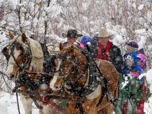 A snowy scene with two horses pulling a sled, accompanied by adults and children bundled in winter clothing.