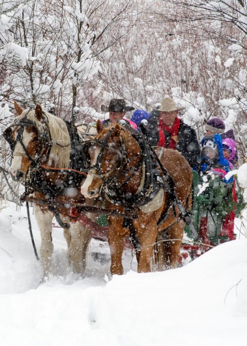 A horse-drawn sleigh carries passengers through a snowy landscape, surrounded by trees and falling snow.