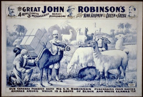Vintage circus poster featuring animals, including llamas and goats, with a man purchasing them from natives.