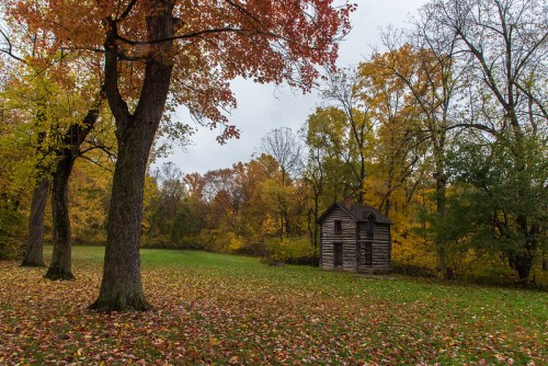 A rustic wooden cabin surrounded by vibrant autumn foliage and fallen leaves in a serene landscape.