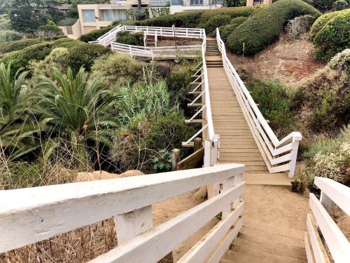 A wooden staircase leads down through greenery to a coastal area, surrounded by shrubs and plants.