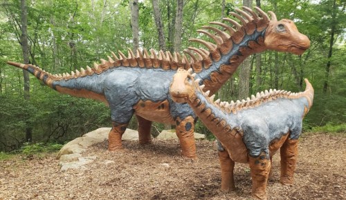 Two large dinosaur sculptures in a forested area, featuring spiked backs and textured skin.