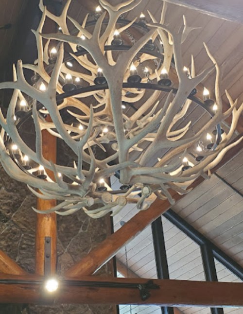 A large chandelier made of antlers with multiple light bulbs, hanging from a wooden ceiling.
