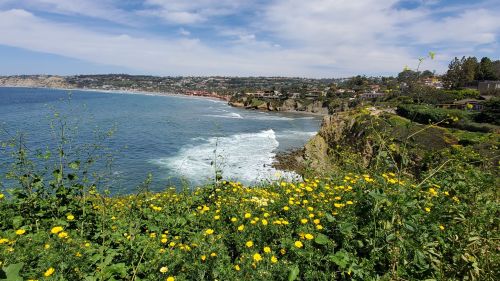 Coastal view with yellow flowers in the foreground, waves crashing on the shore, and a distant shoreline under a blue sky.