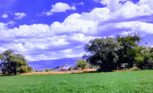 A vibrant green field under a bright blue sky with fluffy white clouds and distant mountains. Trees line the field.