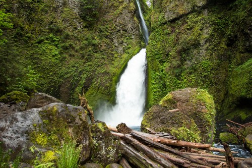 A lush green landscape featuring a waterfall cascading down rocky cliffs, surrounded by moss and fallen logs.