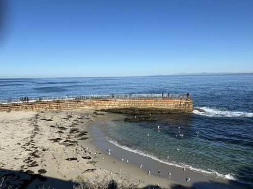 A serene coastal view with a sandy beach, rocky pier, and calm blue waters under a clear sky. Seagulls are scattered along the shore.