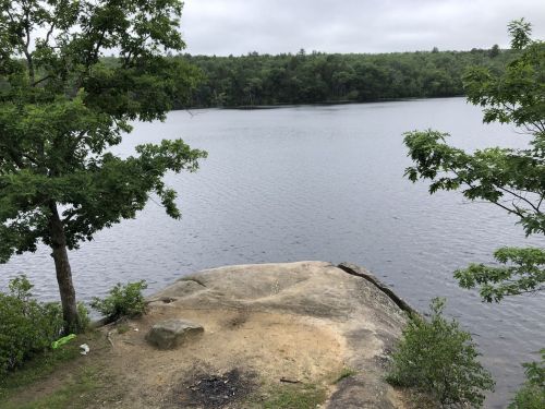 A rocky shoreline with trees overlooking a calm lake under a cloudy sky.