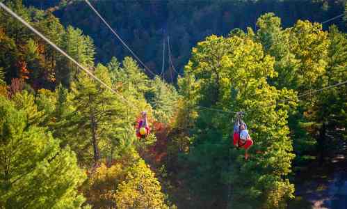 Two people ziplining through a vibrant forest with lush green trees and autumn colors in the background.