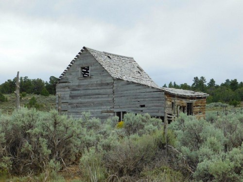 A weathered wooden barn stands amidst sagebrush and sparse trees under a cloudy sky.