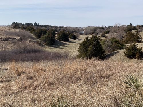 A scenic landscape featuring rolling hills, sparse trees, and dry grass under a clear sky.