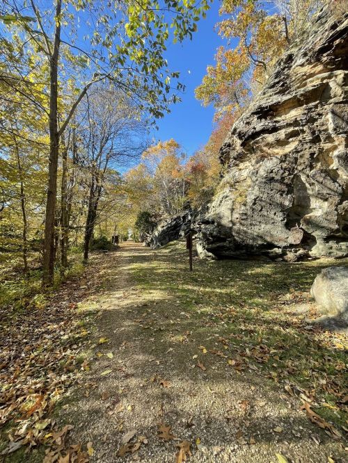 A scenic trail lined with trees and rocky cliffs, under a clear blue sky, showcasing autumn foliage.