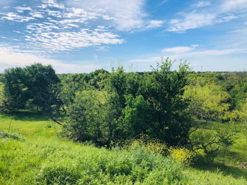 Lush green landscape with trees and shrubs under a bright blue sky with scattered clouds.