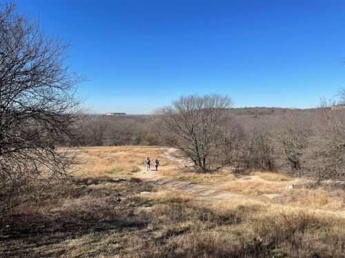 Two people walking on a dirt path through a grassy area with bare trees under a clear blue sky.