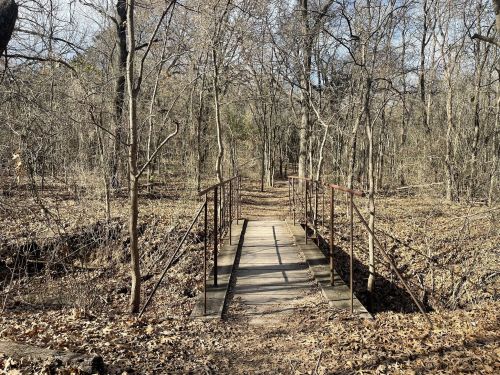 A wooden bridge spans a narrow path through a bare, wooded area with fallen leaves and trees in winter.