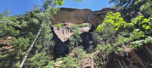 A rocky cliff surrounded by lush green trees under a clear blue sky. Sunlight illuminates the landscape.