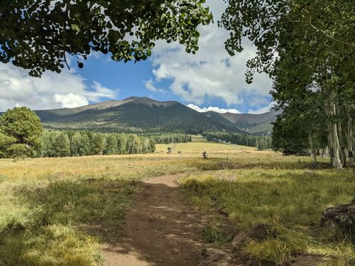 A scenic view of a grassy meadow with mountains in the background, framed by trees under a partly cloudy sky.