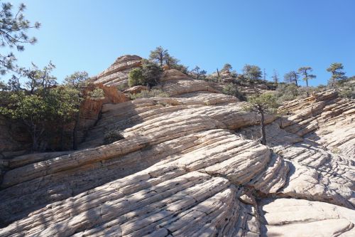 Layered rock formations with trees against a clear blue sky.
