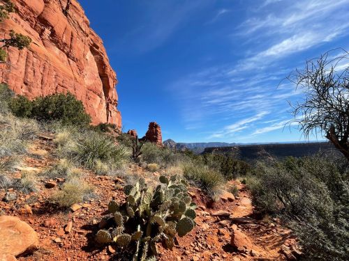 A desert landscape featuring red rock formations, green cacti, and a clear blue sky.