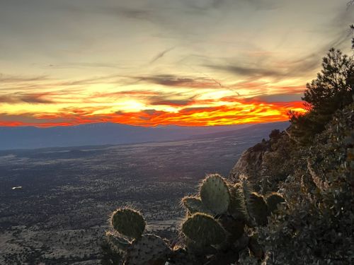 A vibrant sunset over a vast landscape, with cacti in the foreground and colorful clouds in the sky.