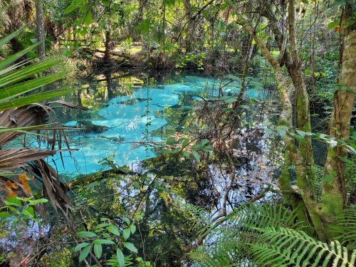 A serene, turquoise spring surrounded by lush greenery and trees in a tranquil natural setting.