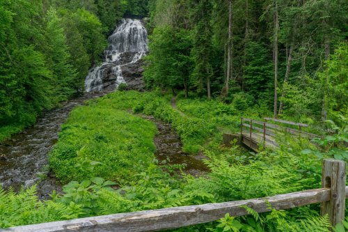 A lush green landscape featuring a waterfall, stream, and wooden bridge surrounded by dense trees and foliage.