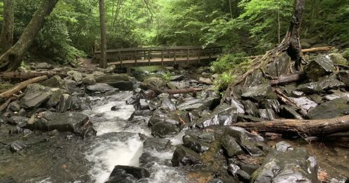 Trail over water in Blue Ridge Parkway in North Carolina