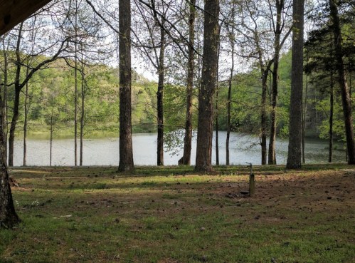 A serene lake surrounded by tall trees and lush greenery, reflecting the calmness of nature.